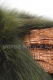 Varejki-Bear-12-L-PZ-08 img 2